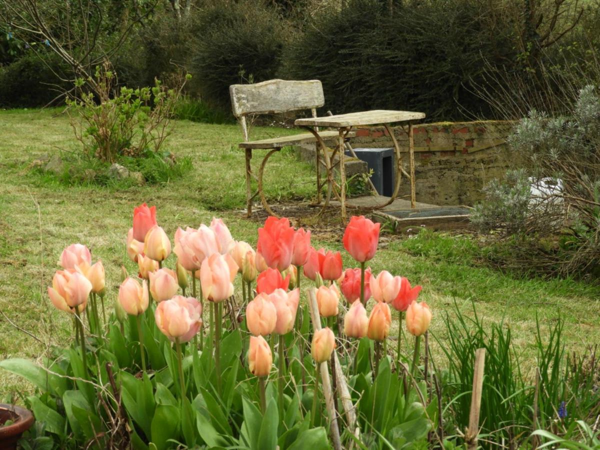 Au Domaine De Sophie Chambres D'Hotes Crasville  Εξωτερικό φωτογραφία